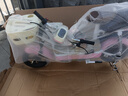 凤凰（Phoenix）电动车新款女生小型轻便新国标电动自行车成人电瓶车双人代步通勤长续航电单车两轮助力车 樱花粉【全国联保 终身保障】 【铅酸】12A天能/超威-助力续航80公里 实拍图