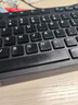 北极绒4条装儿童内裤女童发育期纯棉女孩学生10A抑菌平角短裤宝宝中大童 实拍图