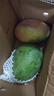 京鲜生 攀枝花凯特芒果 净重4.5斤 带箱5斤 单果500g+ 生鲜水果源头直发 实拍图