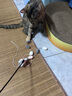 宠物自嗨解闷神器猫咪逗猫棒猫猫玩具耐咬绒球流苏仙女棒小猫咪用 颜色随机【2根】 实拍图