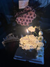 唯一（Winy）一克拉莫桑钻999纯银项链女2025新款吊坠生日礼物送朋友老婆首饰 实拍图