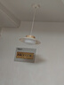 一格照明原木餐厅吊灯中古奶油风LED餐桌灯2025新款饭厅吧台广东中山灯具 全光谱_奶油白_35CM三色变光 实拍图