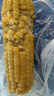 新鲜黄糯玉米真空包装速食玉米低脂粗粮代餐杂粮早餐包邮 精选 8棒 180g-220g/棒 实拍图