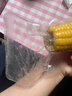 东北黄糯玉米真空包装速食玉米软糯香甜代餐小棒140g-180g 5根特惠装 实拍图