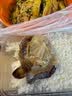 醉蟹块即食生腌红膏蟹股舟山海鲜咸呛炝螃蟹梭子蟹宁波特产咸呛蟹 599克醉蟹块*1瓶【微辣鲜香】 实拍图