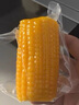 东北农嫂白糯玉米段 2斤 约8-9段 粘糯玉米真空玉米香糯苞米轻食代餐 实拍图