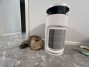 美的家用宠物空气净化器 吸猫毛除过敏源猫猫搭子猫毛净化器杀菌消毒除猫狗异味 卫健委备案 小山竹PET600【宠物专享升级款】 实拍图