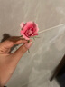 PROIRON普力艾 沙袋绑腿负重手环跑步训练儿童男女手腕沙袋粉0.5KG*2 实拍图