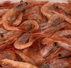 鲜京采 进口格陵兰北极甜虾2斤 90-150只 MSC认证 生甜虾 生鲜送礼聚餐 实拍图