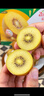 佳沛（zespri）新西兰阳光金奇异果 8个装 特大果单果重约122-146g 水果猕猴桃 实拍图