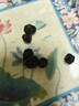 新边界（new boundaries）蓝莓干400g 蜜饯果干大颗粒孕妇零食罐装锁鲜蓝莓果粒烘焙食品 实拍图