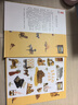 作家榜名著：草原上的小木屋（专为中小学生打造！华东师范大学教授金雯翻译！教会孩子爱和勇气！未删节插图精装版！）    实拍图