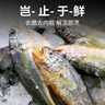 卖鱼七郎 去腮去内脏冷冻小黄鱼黄花鱼2.4斤烧烤食材生鲜鱼类海鲜水产 实拍图
