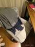 罗鹿电脑椅电竞椅办公室椅子女生学习椅座椅人体工学椅化妆椅升降转椅 高级灰-双层靠背-优质乳胶款 实拍图