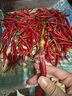 囧仙子新鲜红辣椒二荆条红海椒应季美人椒泡椒菜椒剁椒线椒 红二荆条5斤精选 实拍图