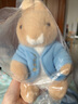 比得兔（Peter Rabbit）玩偶公仔抱枕彼得兔毛绒玩具公仔兔子玩偶婴儿玩具比得兔生日礼物 比得兔25cm 25*18*16 实拍图
