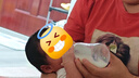 美素佳儿（Friso）皇家婴儿配方奶粉1段（0-6个月婴儿适用）400克 乳铁蛋白 新国标 实拍图