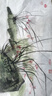 六品堂宣纸生宣100张书法专用纸作品纸国画工笔画初学者书法专用练习生宣纸熟宣纸写毛笔字四尺三开 实拍图