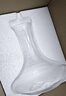 CLITON红酒醒酒器 玻璃快速葡萄酒醒酒器 家用倒酒器分酒器酒壶红酒瓶塞 实拍图