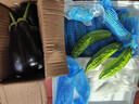 山东新鲜绿把紫皮长茄现摘现发新鲜嫩茄新鲜时令蔬菜生鲜 新鲜精选紫茄 4斤 带箱 实拍图