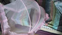 南极人婴儿蚊帐罩宝宝小床蒙古包全罩式防蚊罩儿童可折叠通用蚊帐粉色 实拍图