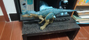 Jurassic World生日礼物侏罗纪世界狂暴怒吼异特龙玩具恐龙仿真模型HRX50 实拍图