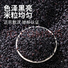 拜杰电动扯蛋神器摇蛋器黄金鸡蛋甩蛋器搅蛋器蛋清混合匀蛋器 【奶油白】双档电动黄金扯蛋器 实拍图
