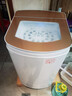 志高脱水机单甩干脱水机干桶甩干机小型迷你家用甩干桶出租房宿舍大容量单杠脱水桶烘干一体机以旧换新 12公斤【玻璃盖加厚不锈钢桶杀菌款】三年免费换新 实拍图