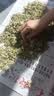 修年堂 鸡骨草叶50g茶搭养肝护肝茶包不野生鸡骨草叶茶广西大黄草煲汤 实拍图
