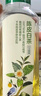 农夫山泉 东方树叶茉莉花茶500ml*15瓶无糖茶饮料0糖0脂0卡整箱装解渴饮品 实拍图
