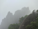 神火（SupFire）户外登山杖铝合金T柄超轻拐杖徒步健走爬山伸缩非折叠棍手杖 实拍图