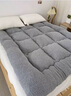 南极人（Nanjiren）羊羔绒床垫软褥子加厚加绒保暖冬季单人学生宿舍租房榻榻米垫被 XY-灰色【加绒加厚 拒绝寒冷】 90*200cm 实拍图