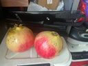 蒲恋四川会理突尼斯软籽石榴礼盒【JD多地次日达】新鲜水果年货礼品 8-9两特大果6个礼盒装 净重5斤多 9A贡品级【送礼更有面】 实拍图