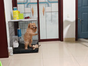 腆宠狗笼猫笼 狗笼子中小型犬带厕所幼犬狗窝猫笼子大号家用围栏兔笼 实拍图