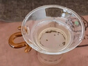 76茶业台湾玻璃公道杯带茶漏茶滤过滤网分茶器茶隔漏斗茶具配件滤茶器 过滤网【茶色】+网架 实拍图