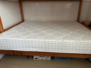 城市爱情进口乳胶独袋弹簧床垫椰棕床垫子席梦思大白垫 乳胶+静音独袋弹簧+椰棕 1.5*1.9米 实拍图