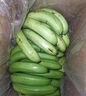 精品云南香蕉高山香蕉现摘新鲜水果甜生青香蕉banana自然熟绿皮 精品高山蕉 9斤 实拍图