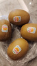 佳沛（zespri）新西兰 阳光金奇异果12粒礼盒特大果单果约122-146g 猕猴桃 水果 实拍图