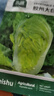 北蔬 白菜种子种苗北方山东早熟秋季蔬菜种籽 胶州大白菜种子约2000粒 实拍图