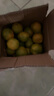 兀果语2025年云南密桔酸桔子当季薄皮橘子孕妇新鲜水果爆汁无核青 4斤 实拍图