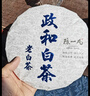 陈一凡 白茶 政和老白茶 2019年政和老白茶寿眉茶饼300g 茶叶白茶寿眉 实拍图