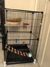 蔻丝鸟笼鹦鹉笼子大号家用虎皮玄凤鹦鹉新型豪华别墅珍珠绣眼八哥专用 多彩大别墅【47*37*78】8件套 实拍图