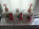 滴露（Dettol）洗手液消毒抑菌滋润500g+500g补充装儿童家庭护手替换 实拍图