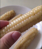 傣小瓜 拇指小玉米云南即食香糯手指玉米棒甜玉米杂粮轻食代餐早餐食品 拇指玉米500g*2袋【2斤】 实拍图