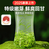 贡苑绿茶信阳毛尖特级250g 2025新茶正宗明前春茶嫩芽茶叶自己喝送礼 实拍图