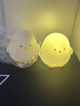 韩版可爱小鸡小夜灯卧室装饰品发光玩具幼儿园儿童生日分享小礼物 小鸡仔/白色2个装 实拍图