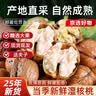 鲜级佳大凉山新鲜湿核桃去青皮嫩核桃老树薄纸皮核桃孕妇专用生核桃新货 净重9斤【去青皮】送夹子丨品质升级 实拍图