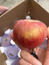 2025新果正宗大凉山丑苹果冰糖心盐源红富士当季孕妇新鲜水果生鲜 9斤 【中果】70-75mm 实拍图