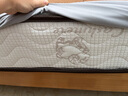 海马亦言床垫 席梦思天然乳胶椰棕独立弹簧五星级十大酒店双面加厚品牌 护脊D款：羊绒面+椰棕+独立弹簧 1.2x1.9米 实拍图
