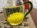 婺康源婺源皇菊 江西特产黄菊一朵一杯贡菊花茶独立包装金丝皇菊礼盒装 共40朵 2盒绣球皇菊（铁盒） 实拍图